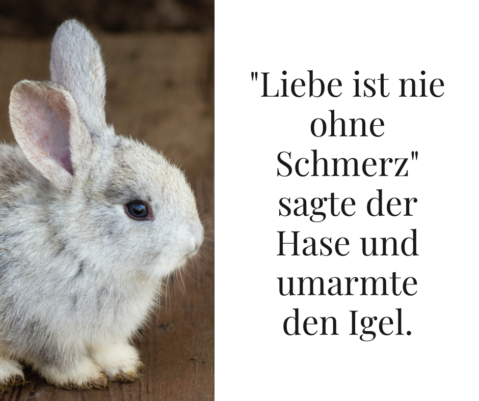 Liebe ist nie ohne Schmerz sagte der Hase und umarmte den Igel.