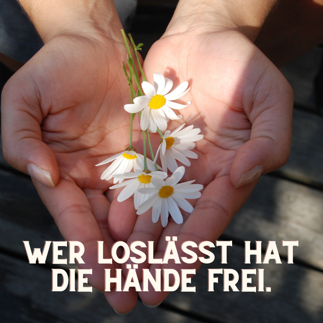 Sprüche, Gedichte und Zitate rund um's Leben und die Liebe.