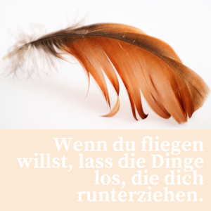 Sprüche, Gedichte und Zitate rund um's Leben und die Liebe.